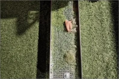 lightbox_Frankfurt_2